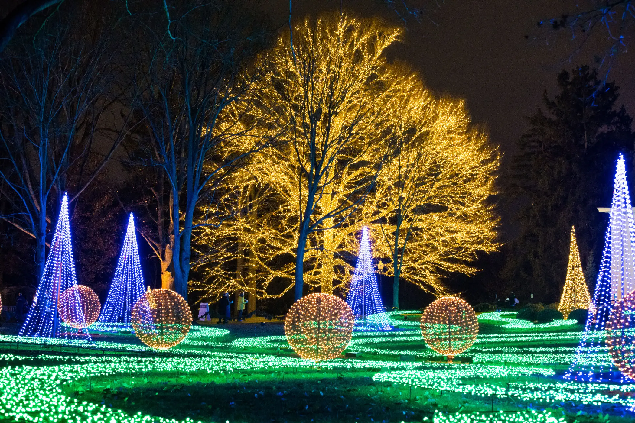 Pride Night at Winterlights